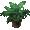 Warm Starter Plant Warm Starter Plant